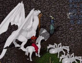 �������f��