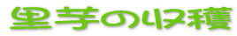 �����̎��n 