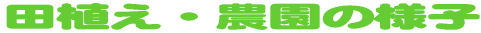 �c�A���E�_���̗l�q 