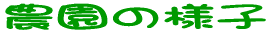 �_���̗l�q 