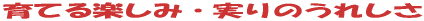��Ă�y���݁E����̂��ꂵ��