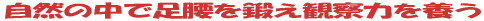 ���R�̒��ő�����b���ώ@�͂�{��