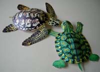 Turtles