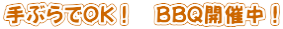 手ぶらでOK！　BBQ開催中！
