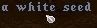 white seed