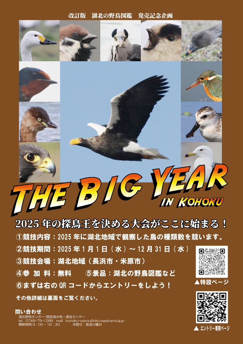 thebigyearomote.jpg