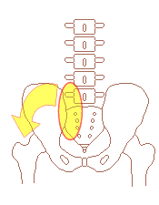 左仙腸関節と腰の骨５番