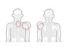 肩関節と胸鎖関節を調整
