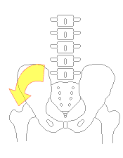 左腸骨の後方変位