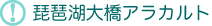 ���i�Α勴�A���J���g