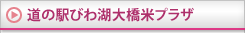 ���̉w�т�Α勴�ăv���U