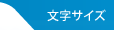 �����T�C�Y