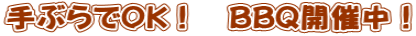 手ぶらでOK! BBQ開催中!