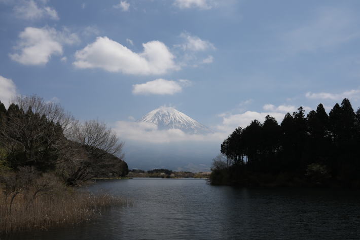 田貫湖富士を望む
