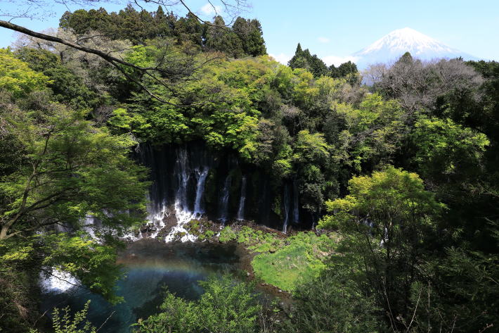 富士と白糸の滝