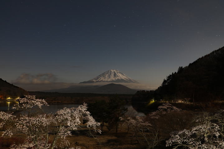 精進湖の春