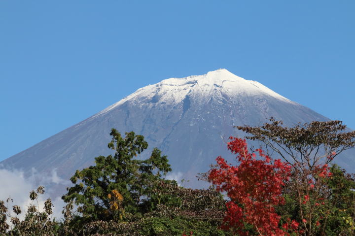 富士と紅葉