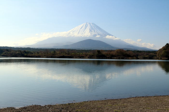富士精進湖畔