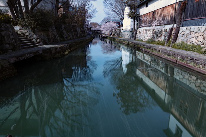春の八幡堀