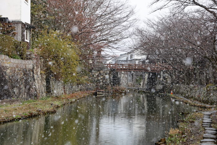八幡堀 雪