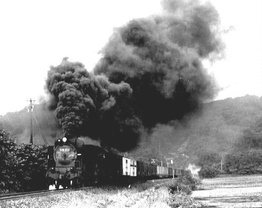 小沼湖畔をいくD51