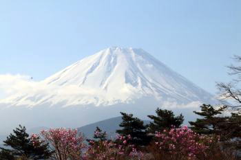 富士春景