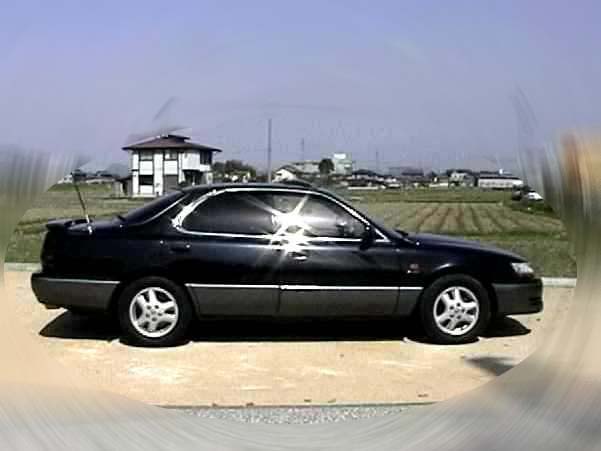 �^�]�ȑ����猩���ʐ^