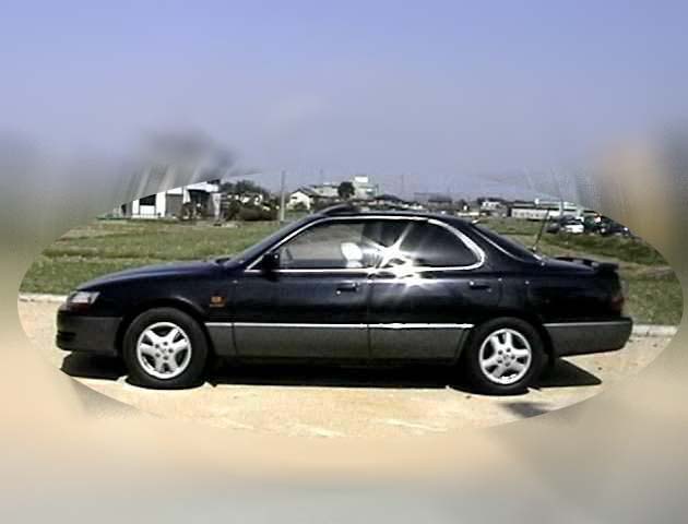 ����ȑ����猩���ʐ^