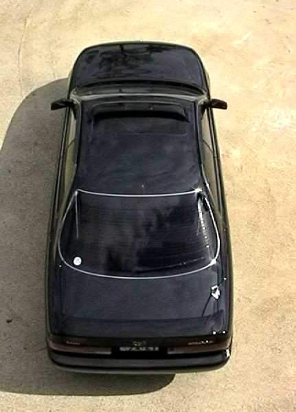 �ォ�猩���ʐ^