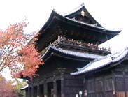 ��T���E�O��