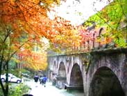 ��T���E���H�t