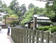 �����֏���