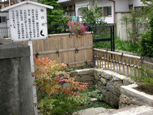 梅の川 写真