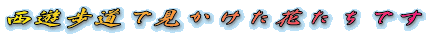 VŌԂł
