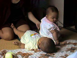 ayap_tpy1