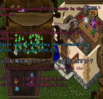 �A���P�~�[GM�B���̏u��