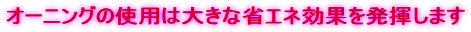 I[jO̎gp͑傫ȏȃGlʂ𔭊܂
