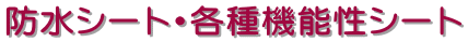 hV[gEe@\V[g