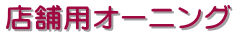 XܗpI[jO
