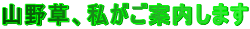 R쑐Aē܂