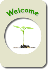 welcome画