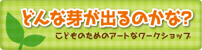 どんな芽がでるのかな？