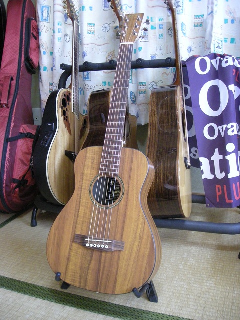 Martin KXK2 Little Martin koa コア 紹介 解説 仕様 おさかな大将の