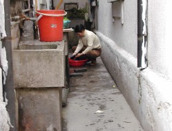 shanghais021.jpg