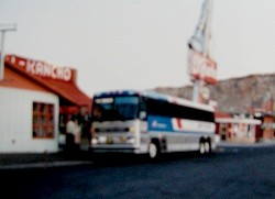 greyhound03.jpg
