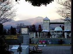 20051207flowerpark.jpg