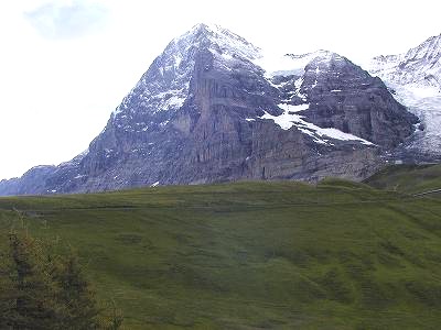 200707swiss(12).jpg