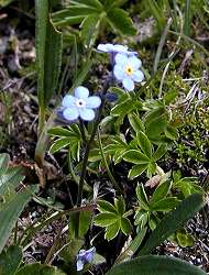 200707swiss(18).jpg