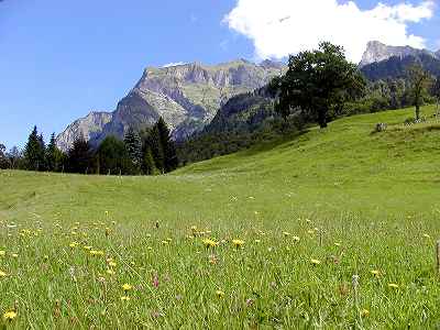 200707swiss(24).jpg