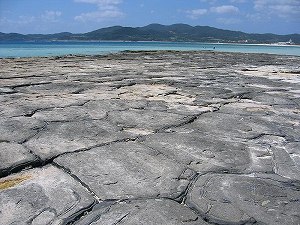 s-Tatami_ishi.jpg